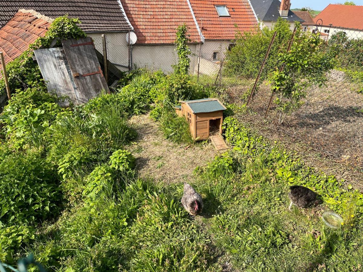 2 chambres dans maison de campagne avec piscine intérieure Lagery Esterno foto